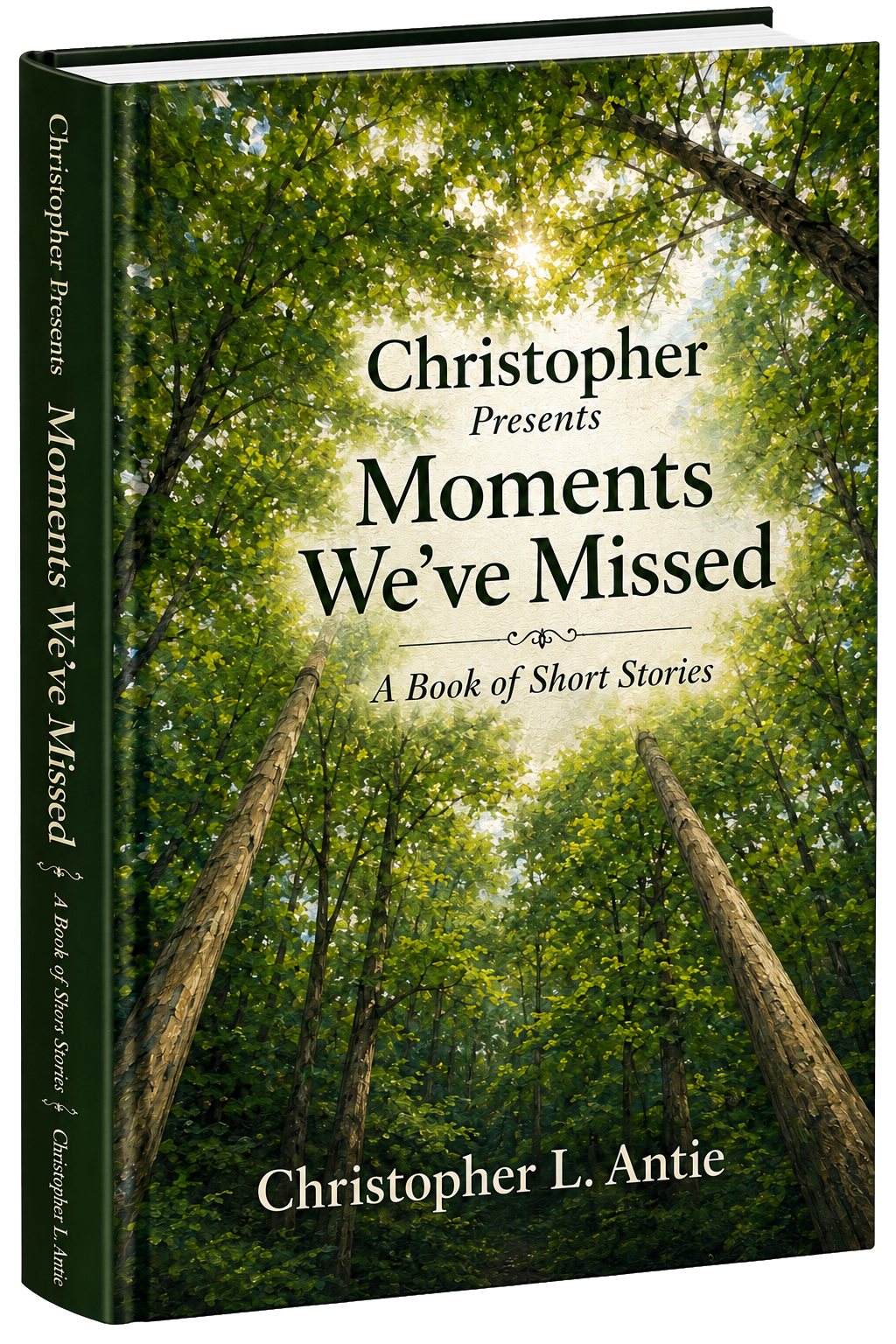 Moments We’ve Missed hardcover book