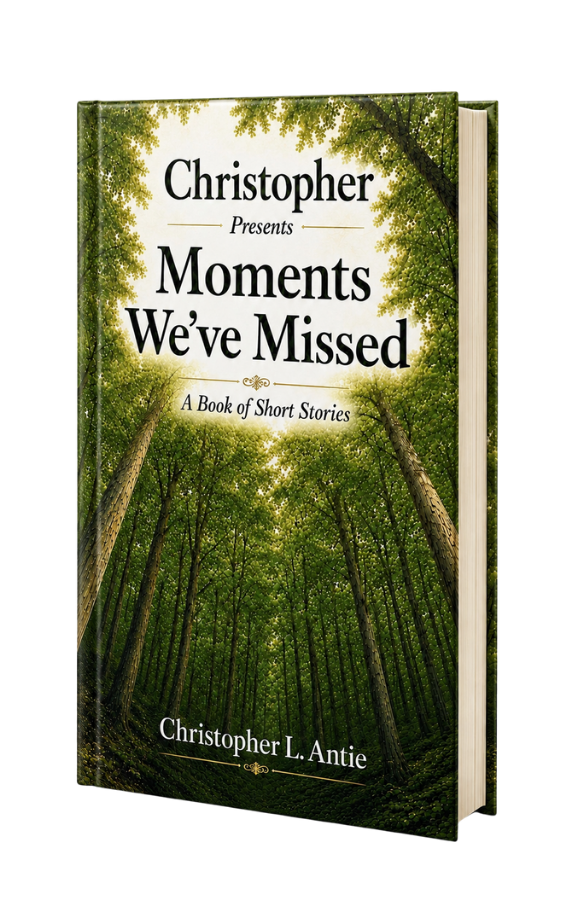 Moments We’ve Missed hardcover book