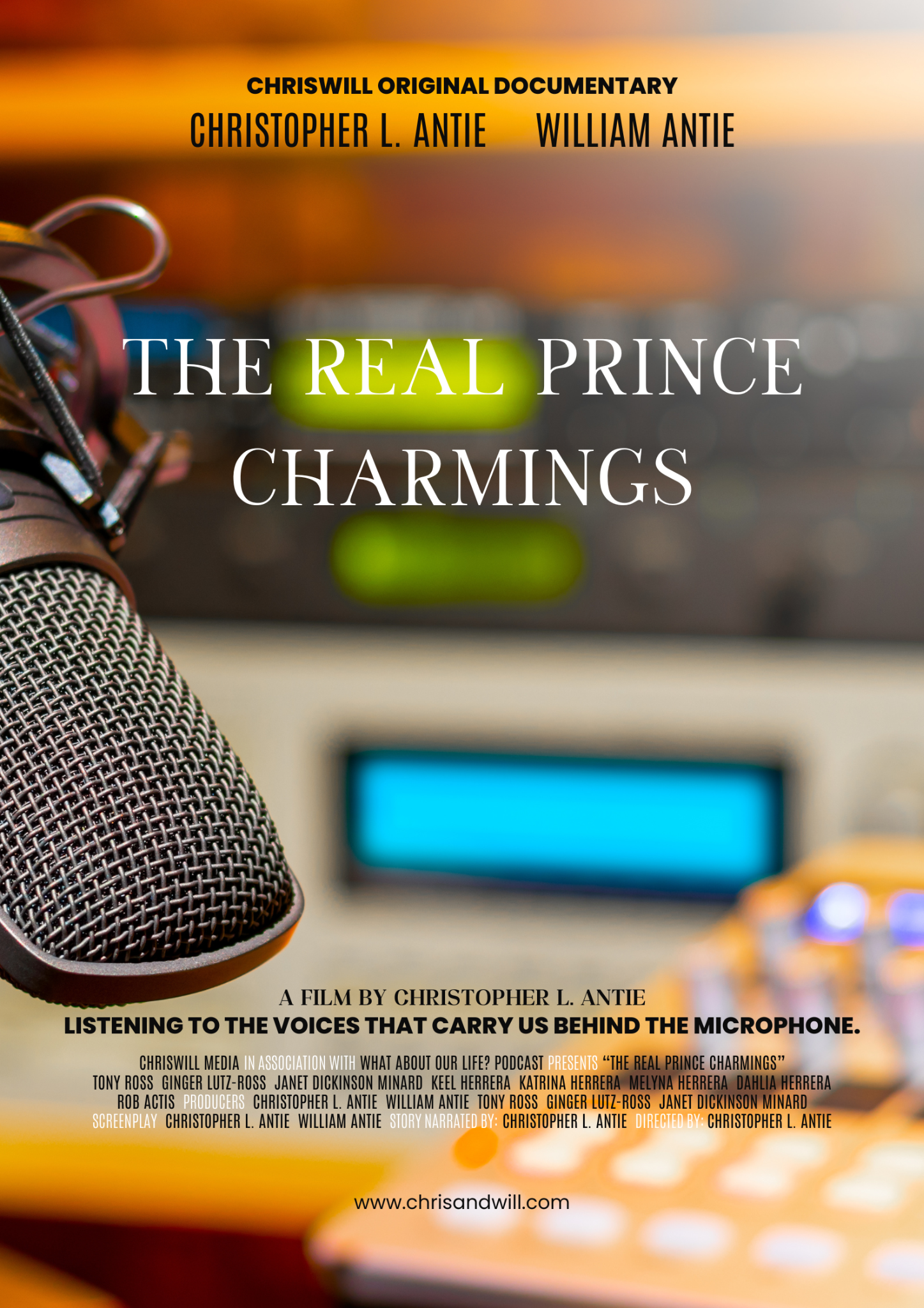 The Real Prince Charmings documentary poster